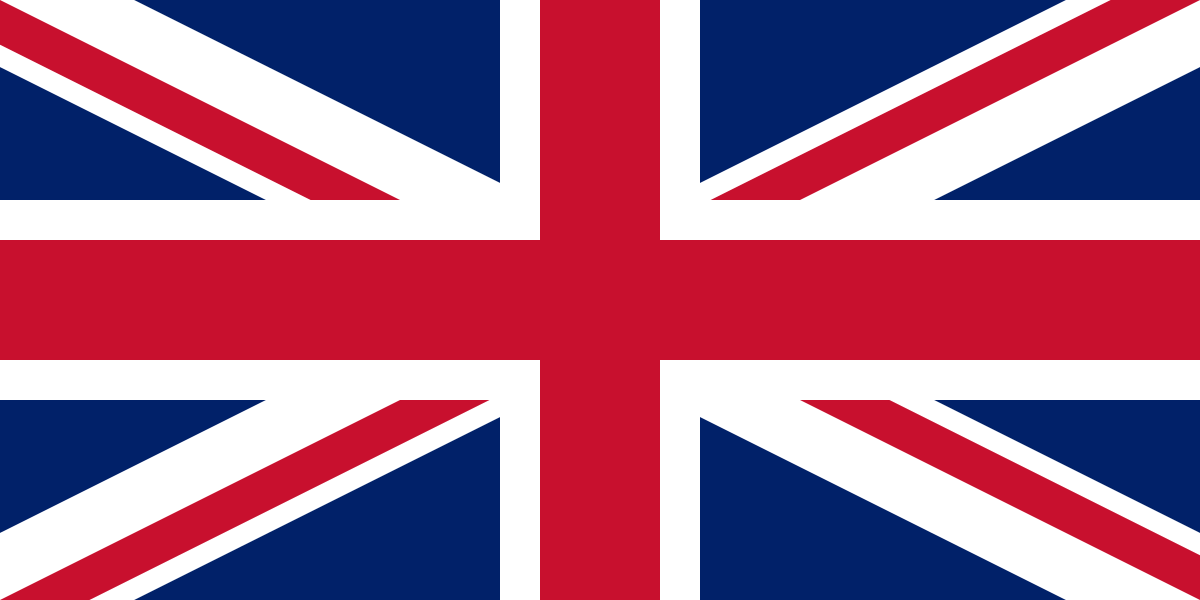 Current language flag